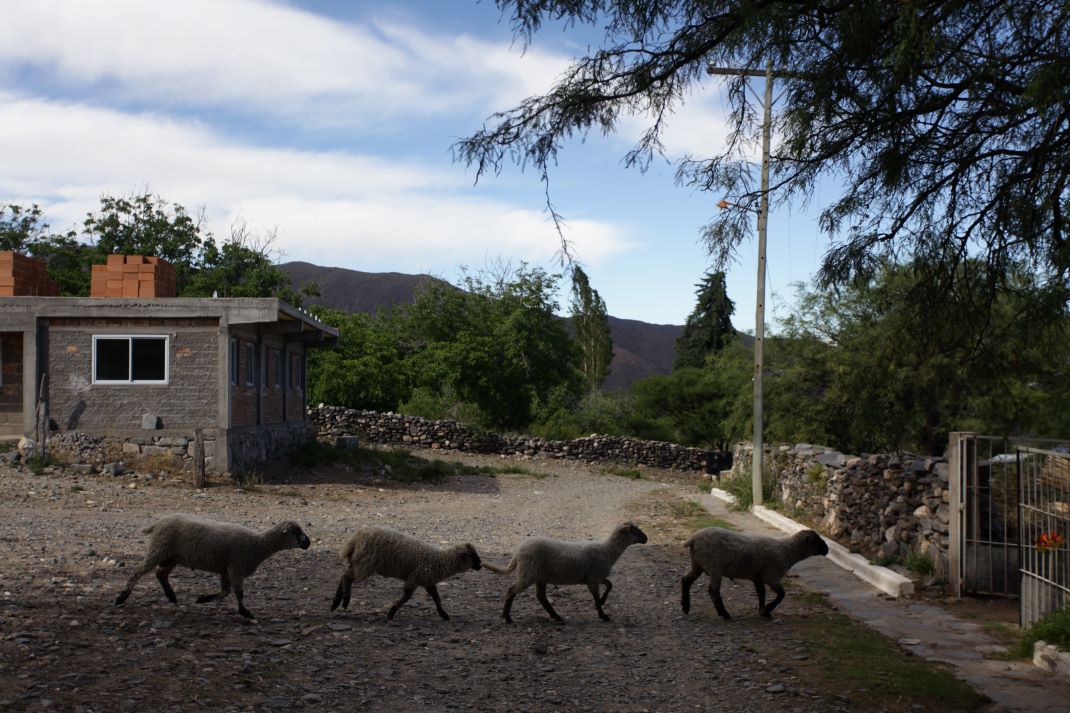 Imagen de galería 1